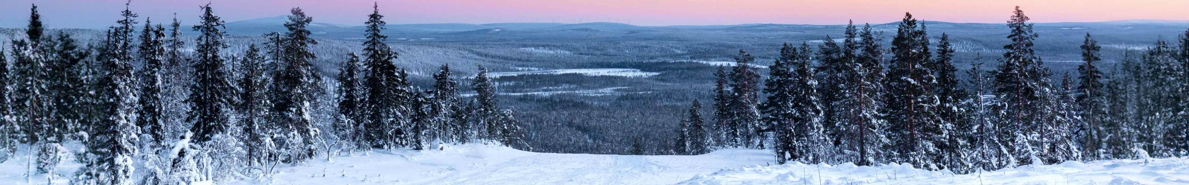 Levi, winter photo 2