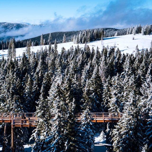 Maribor Pohorje, winter photo 5