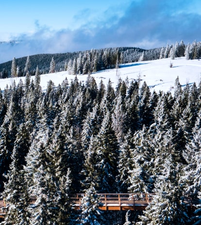 Maribor Pohorje, winter photo 4