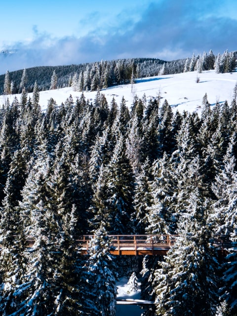 Maribor Pohorje, winter photo 3