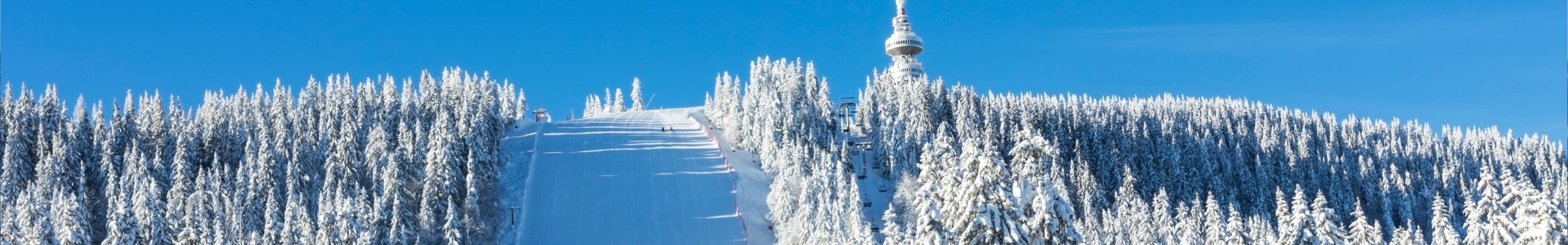 Pamporovo, winter photo 2