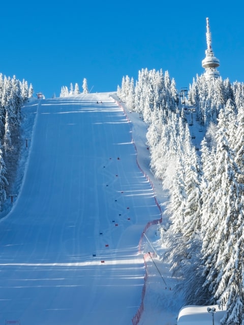 Pamporovo, winter photo 3