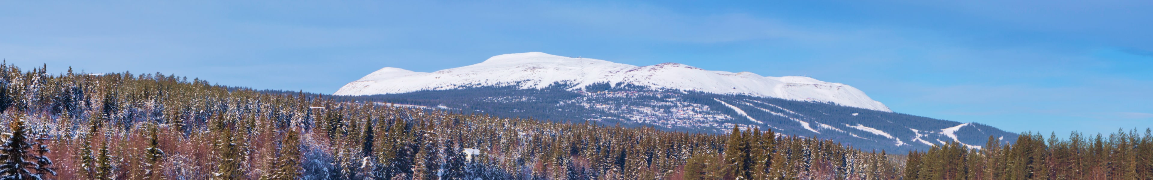Trysil, winter photo 2