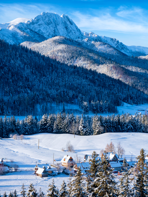 Zakopane, winter photo 3