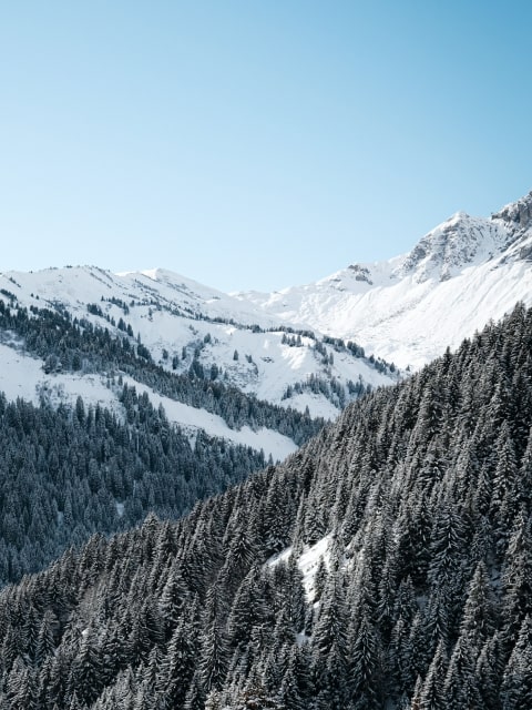 Champéry, winter photo 3