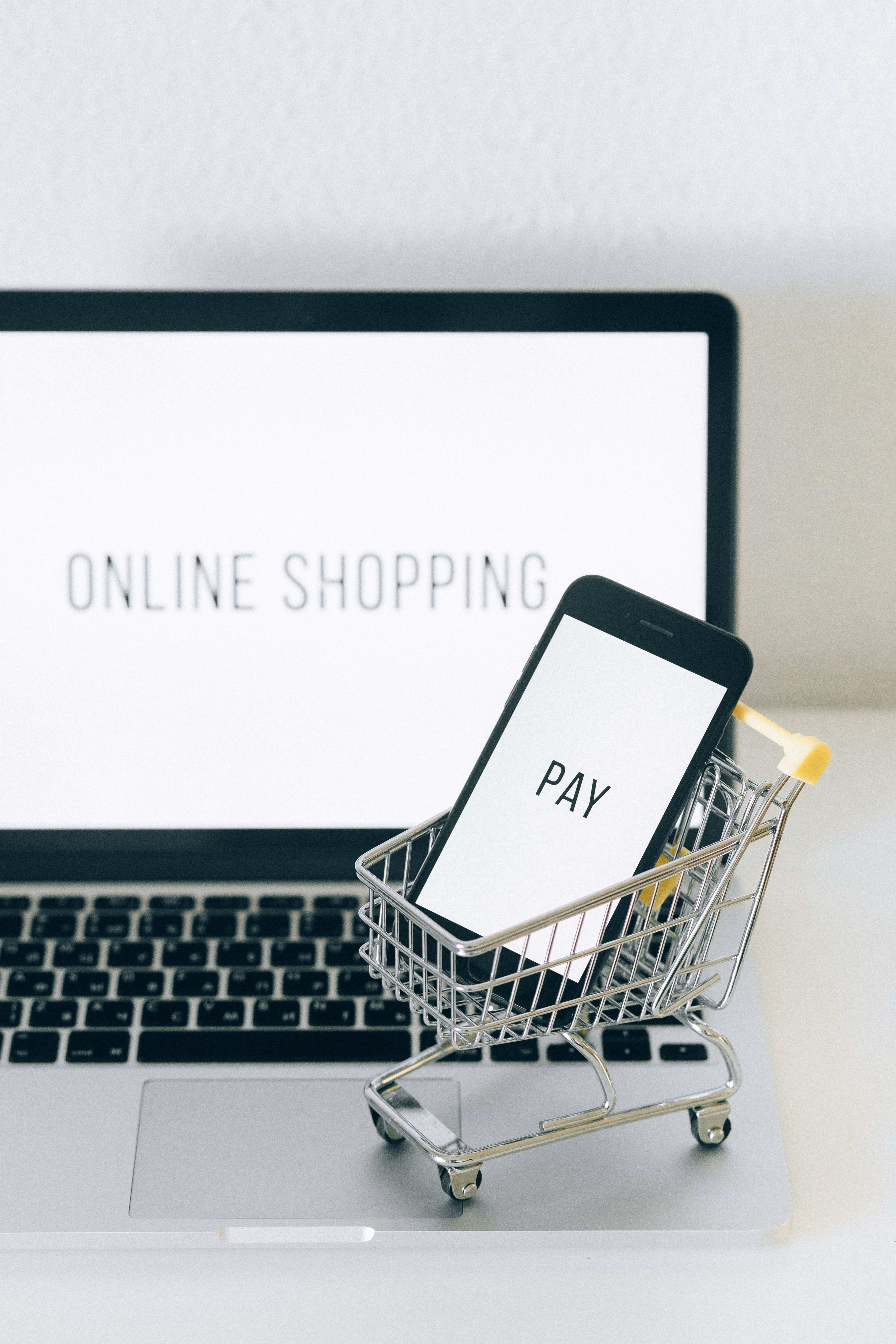 Online shopping laptop with mini cart and pay screen