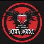 Boxeo