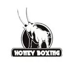 Boxeo