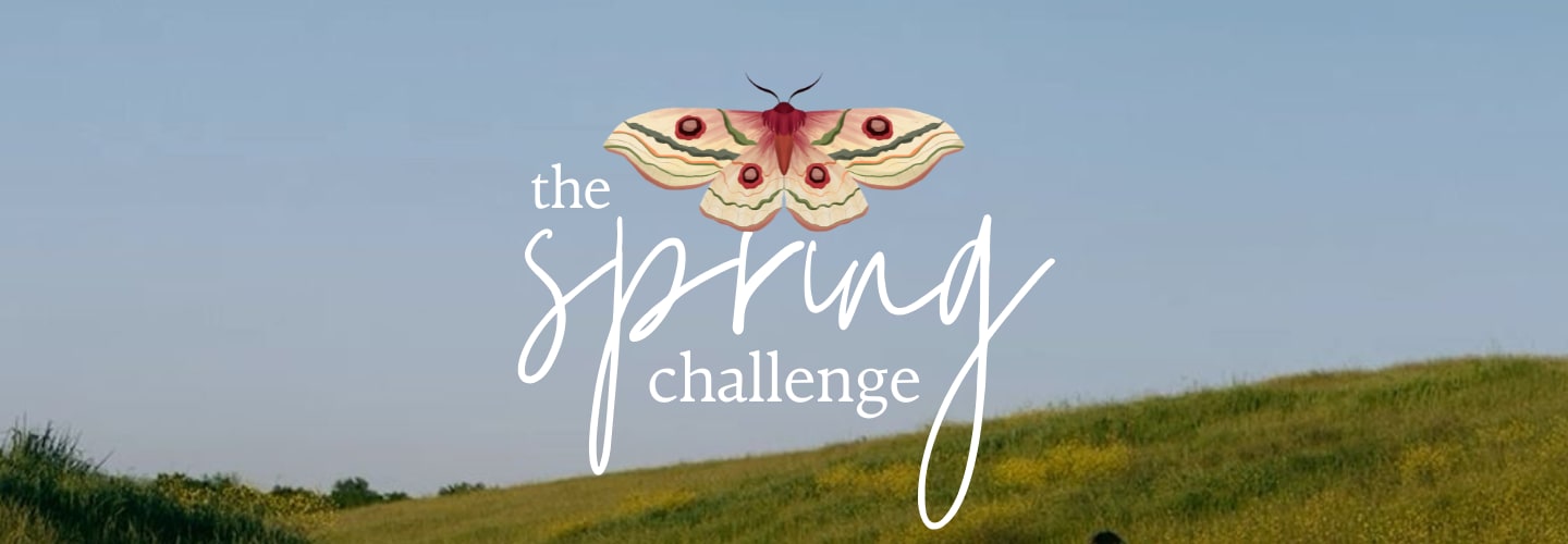 Spring Challenge | 16/10