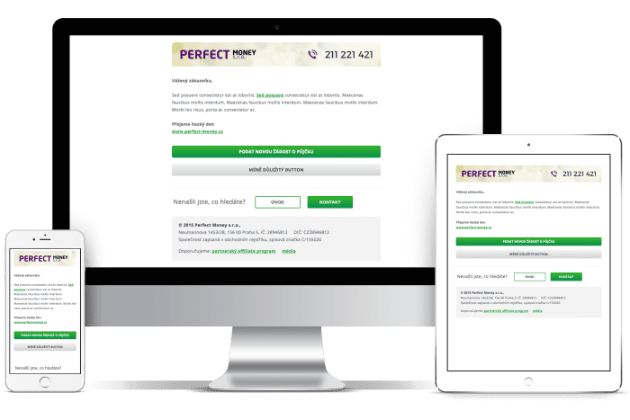 Newsletter pro Perfect money