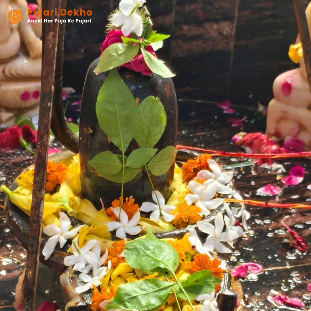 Vedic Pandit Ji in Greater Noida