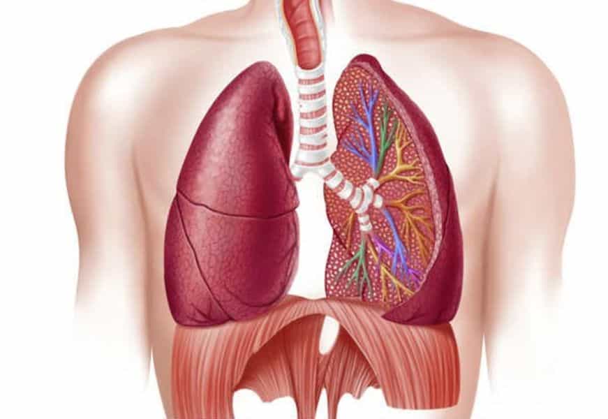 DPOC - Doença Pulmonar Obstrutiva Crónica image