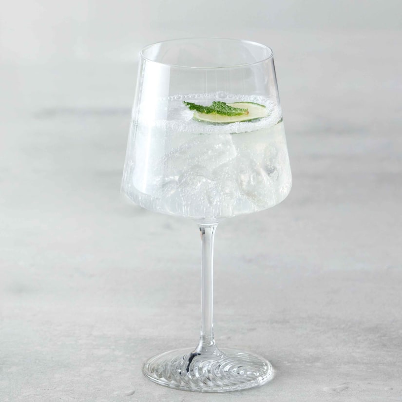 Zwiesel Glass Echo Gin and Tonic Glasses - Thumbnail 3