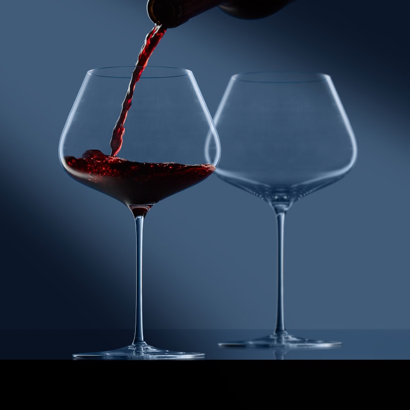 Zalto Denk'Art Balance Glass