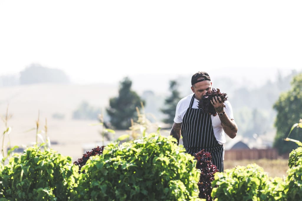 Cannabis Arrives in Northern California Wine Country | Wine Enthusiast