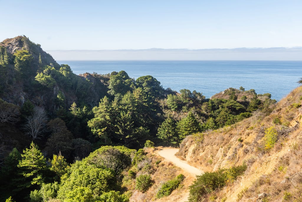 Where to Eat, Shop, and Stay in Big Sur | Wine Enthusiast