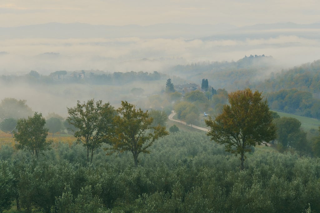 ICYMI: Smoked Dessert Wine Exists, and It’s Great