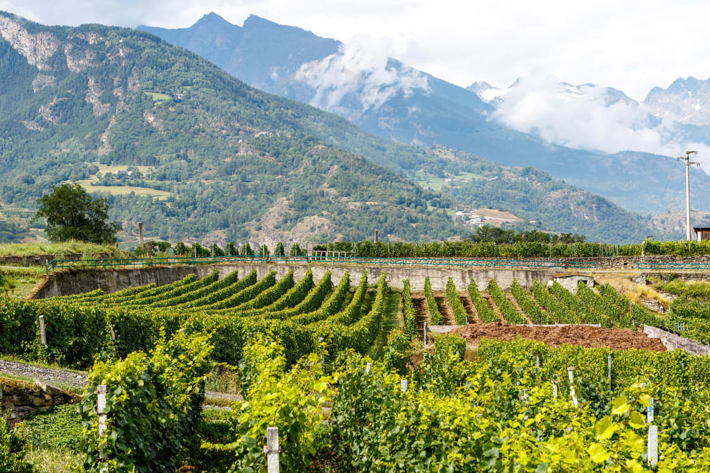 7 Up-and-Coming Wine Regions That Should Be on Your Radar