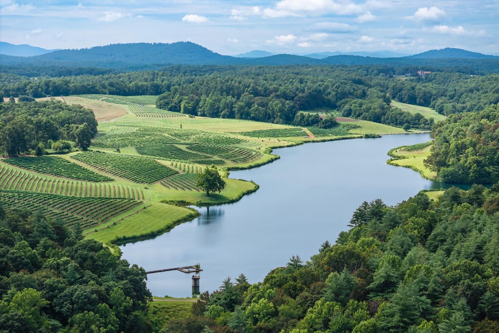 7 Up-and-Coming Wine Regions That Should Be on Your Radar