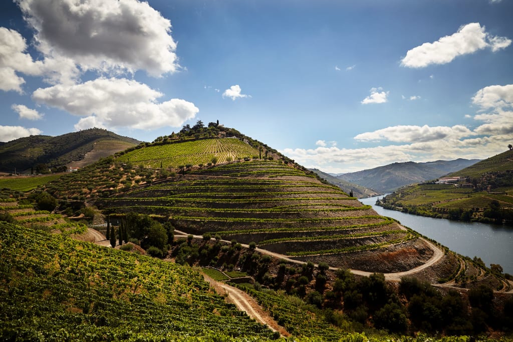 The Best Wineries (and More) to Visit in Portugal | Wine Enthusiast
