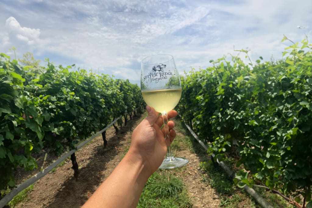 The Best Pennsylvania Wineries to Visit Right Now, According to Pros ...