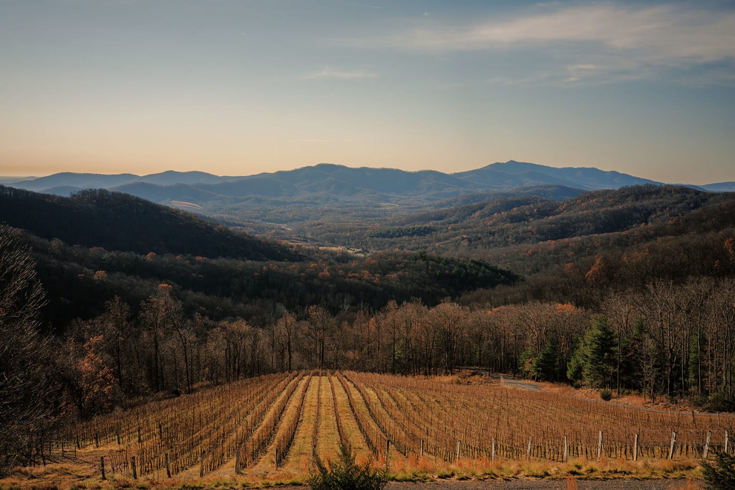 The Hidden Gem Wineries of the Blue Ridge Mountains | Wine Enthusiast