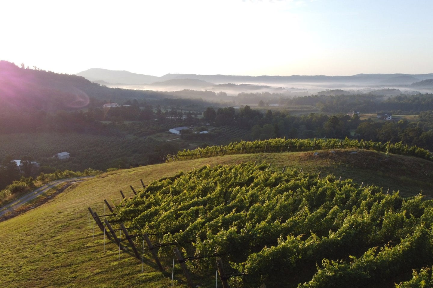 The Hidden Gem Wineries of the Blue Ridge Mountains | Wine Enthusiast