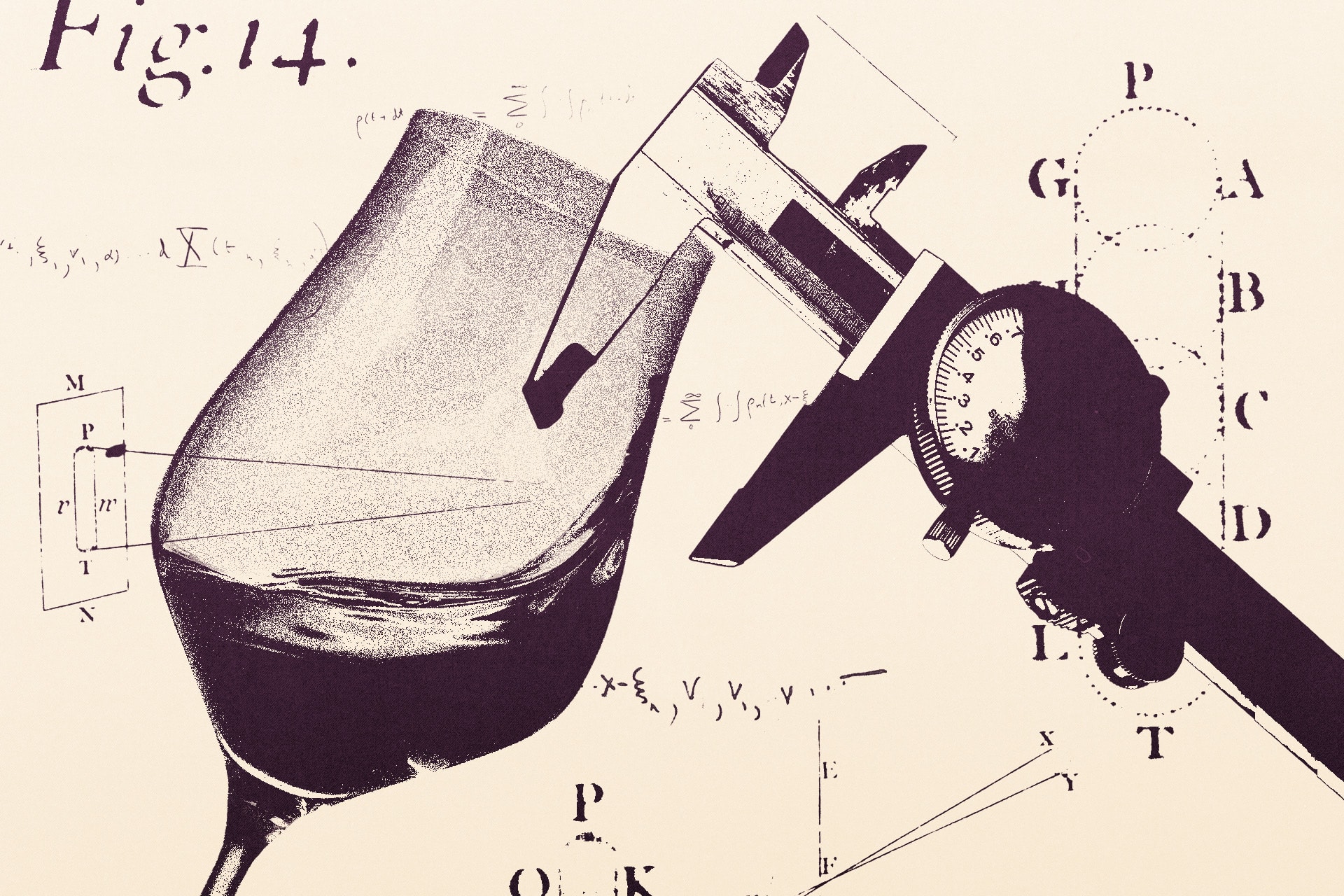 Wine Enthusiast’s Reviewers Taught Me to Taste Wine Like a Pro