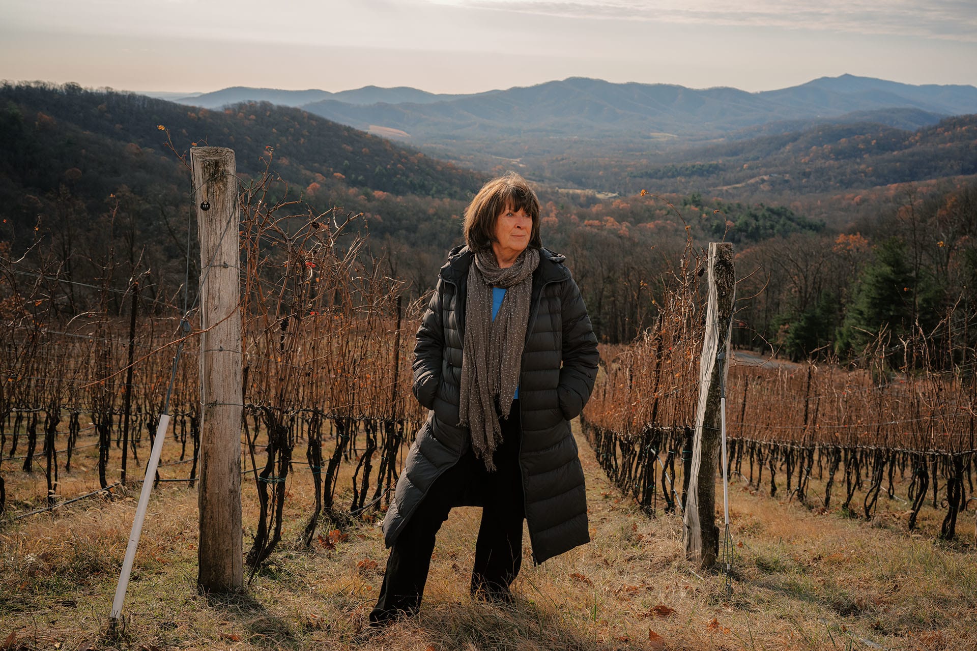 Way Up in the Appalachian Highlands, Wine Hits Its Stride