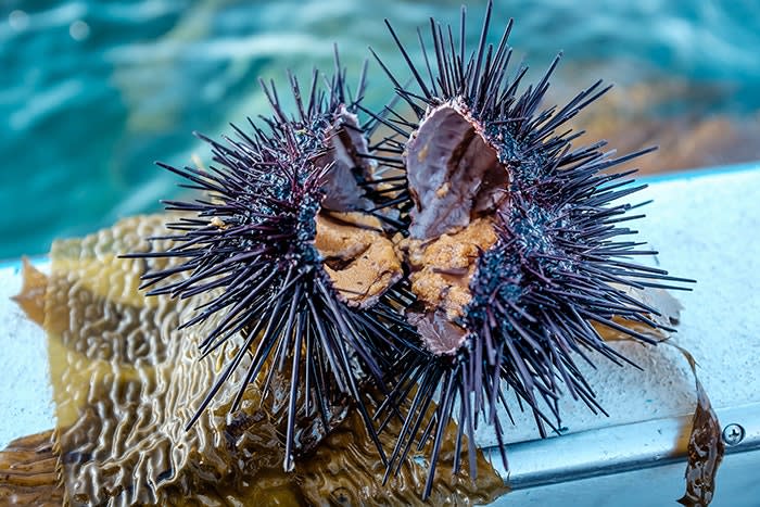 Fishing for an Aphrodisiac | Wine Enthusiast