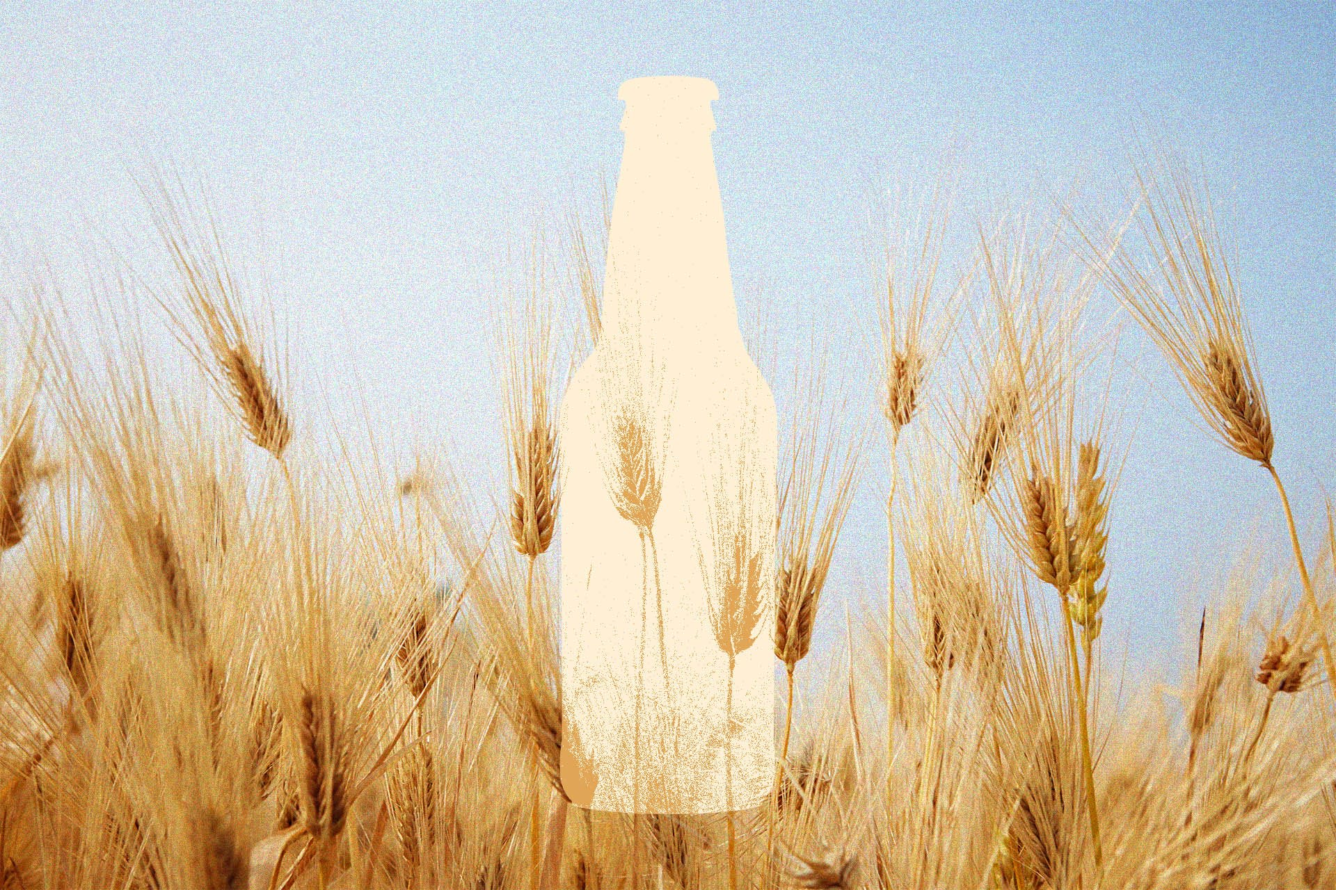 The Best Craft Beers for Summer | Wine Enthusiast