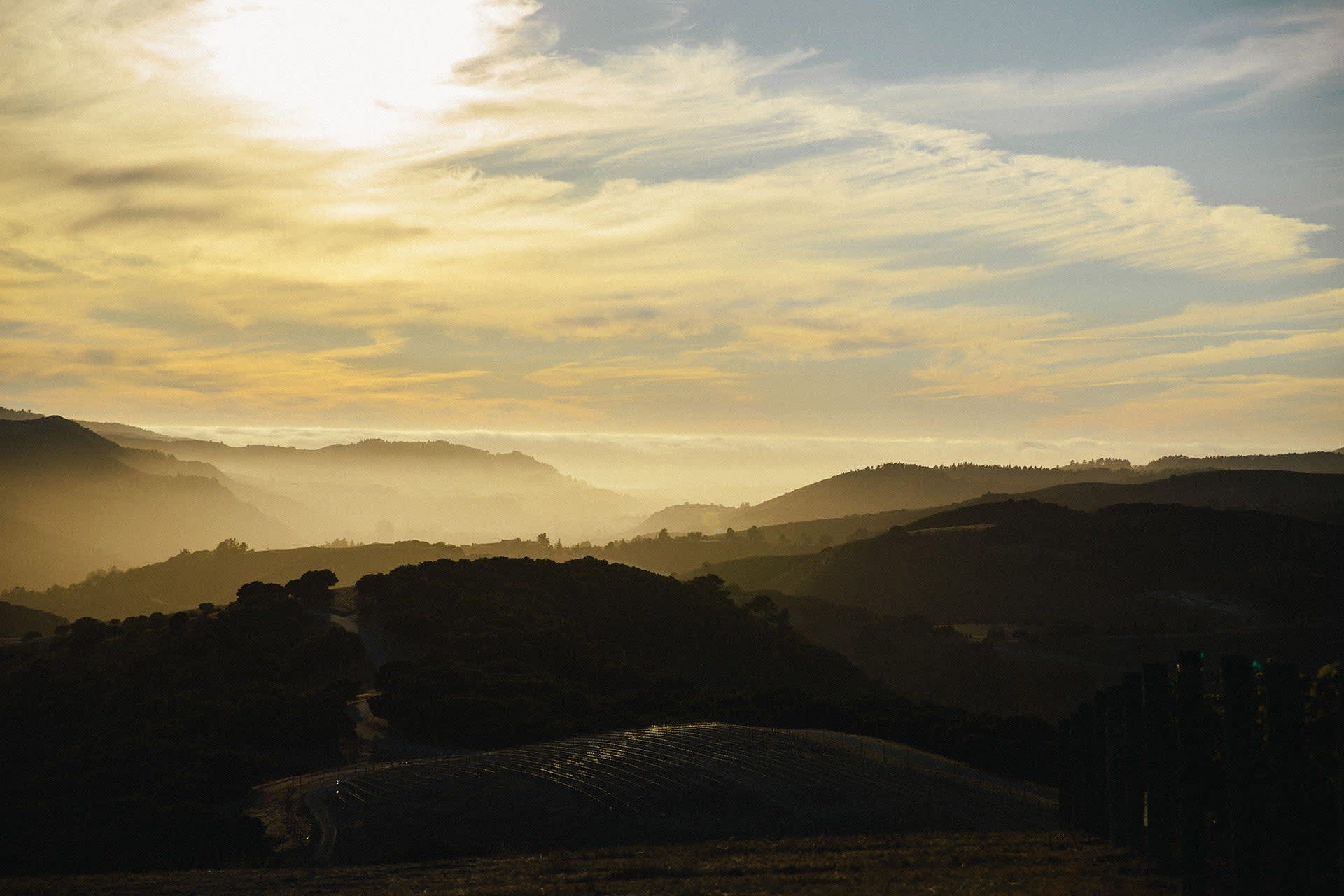 The Best Wineries to Visit in Carmel-by-the-Sea | Wine Enthusiast
