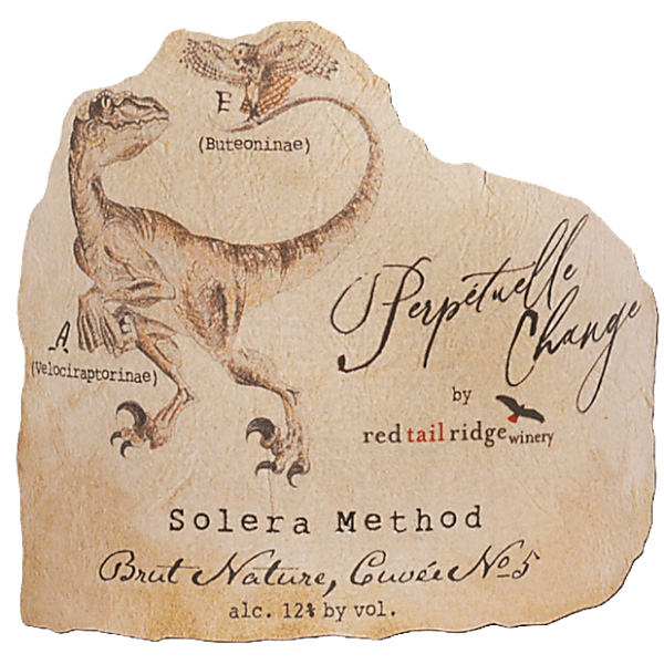 Gravner 2007 Bianco Breg White (Venezia Giulia) Rating and Review