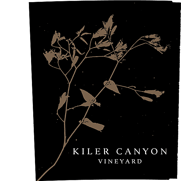 San Pedro 2020 1865 Selected Collection Desert Valley Syrah (Elqui