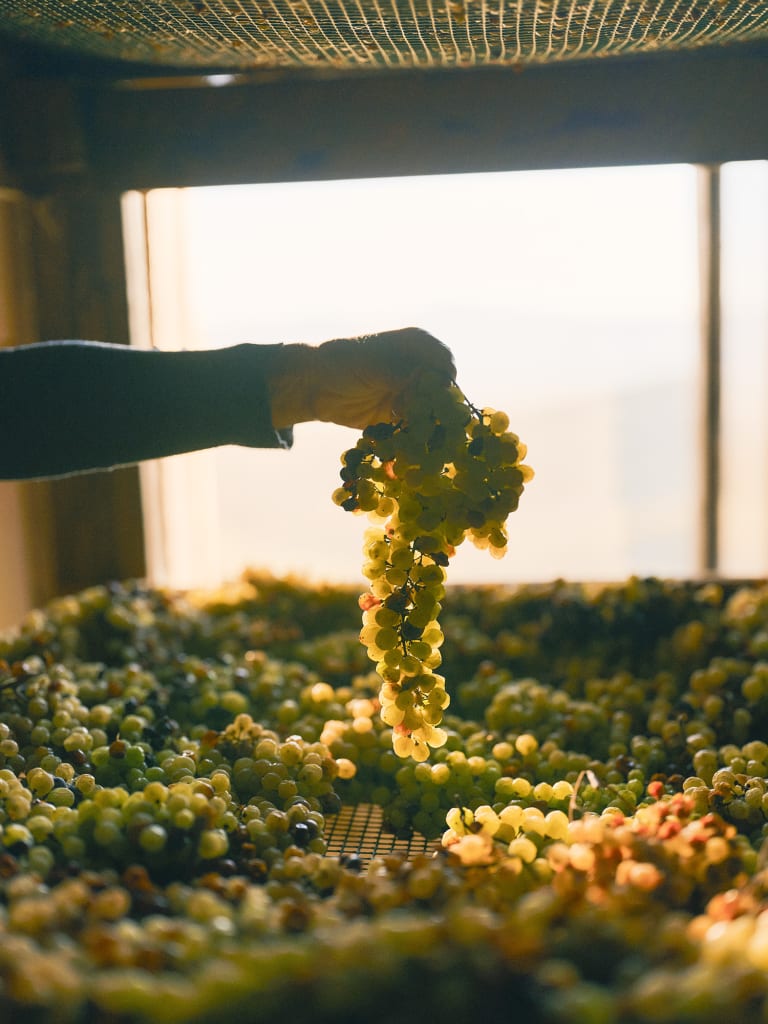 ICYMI: Smoked Dessert Wine Exists, and It’s Great