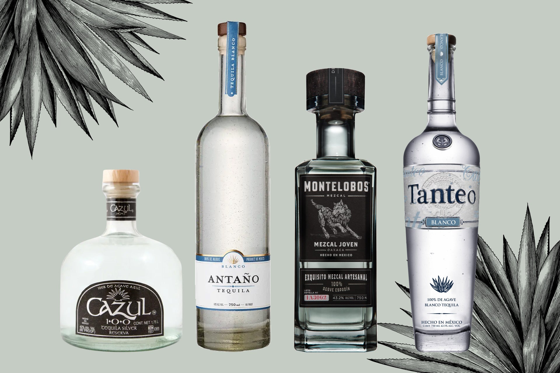 8 Popular Tequila Brands Perfect for Margaritas | Wine Enthusiast