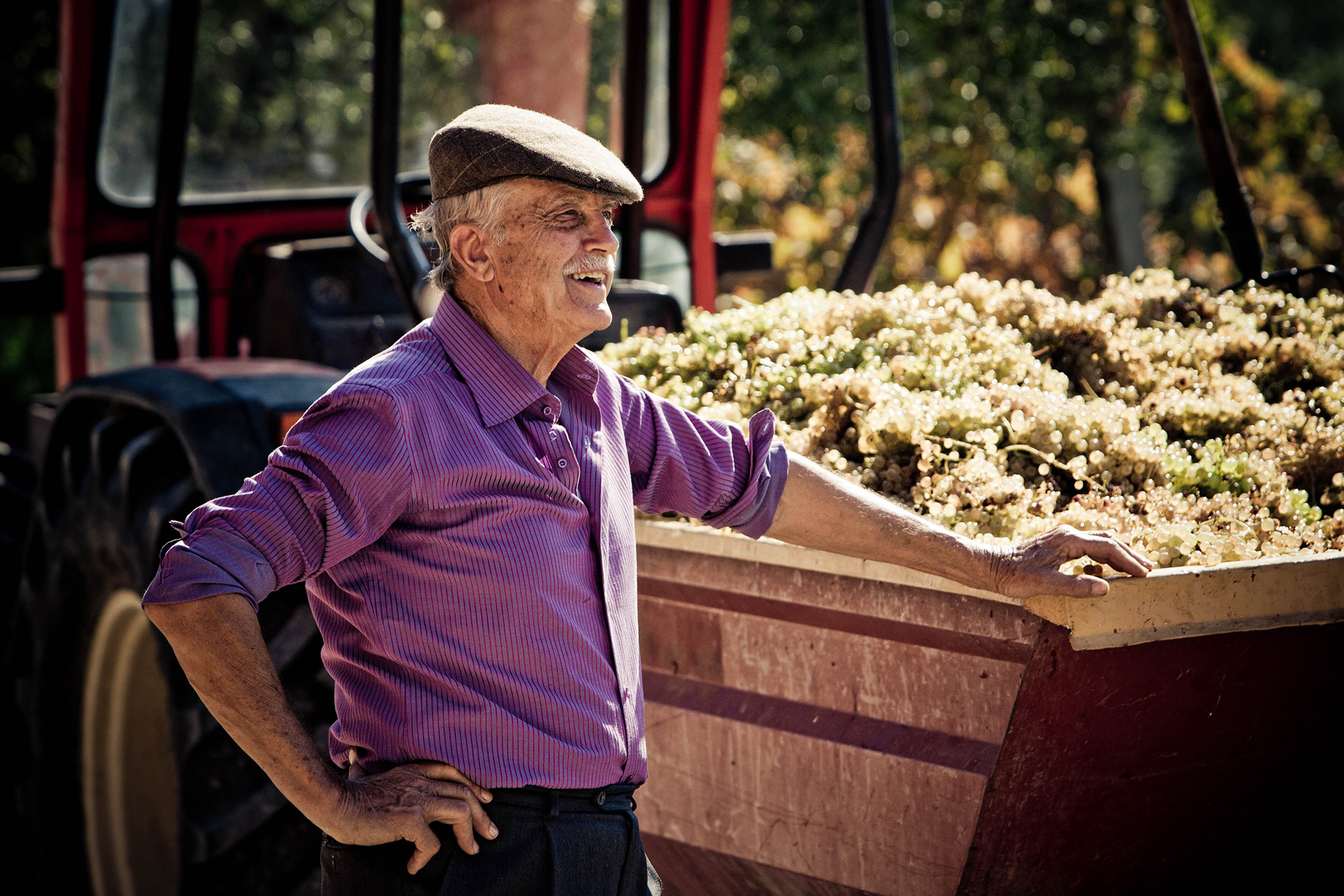 Emidio Pepe’s Winemaking Ideas Were Old-Fashioned, Until They Were Radical