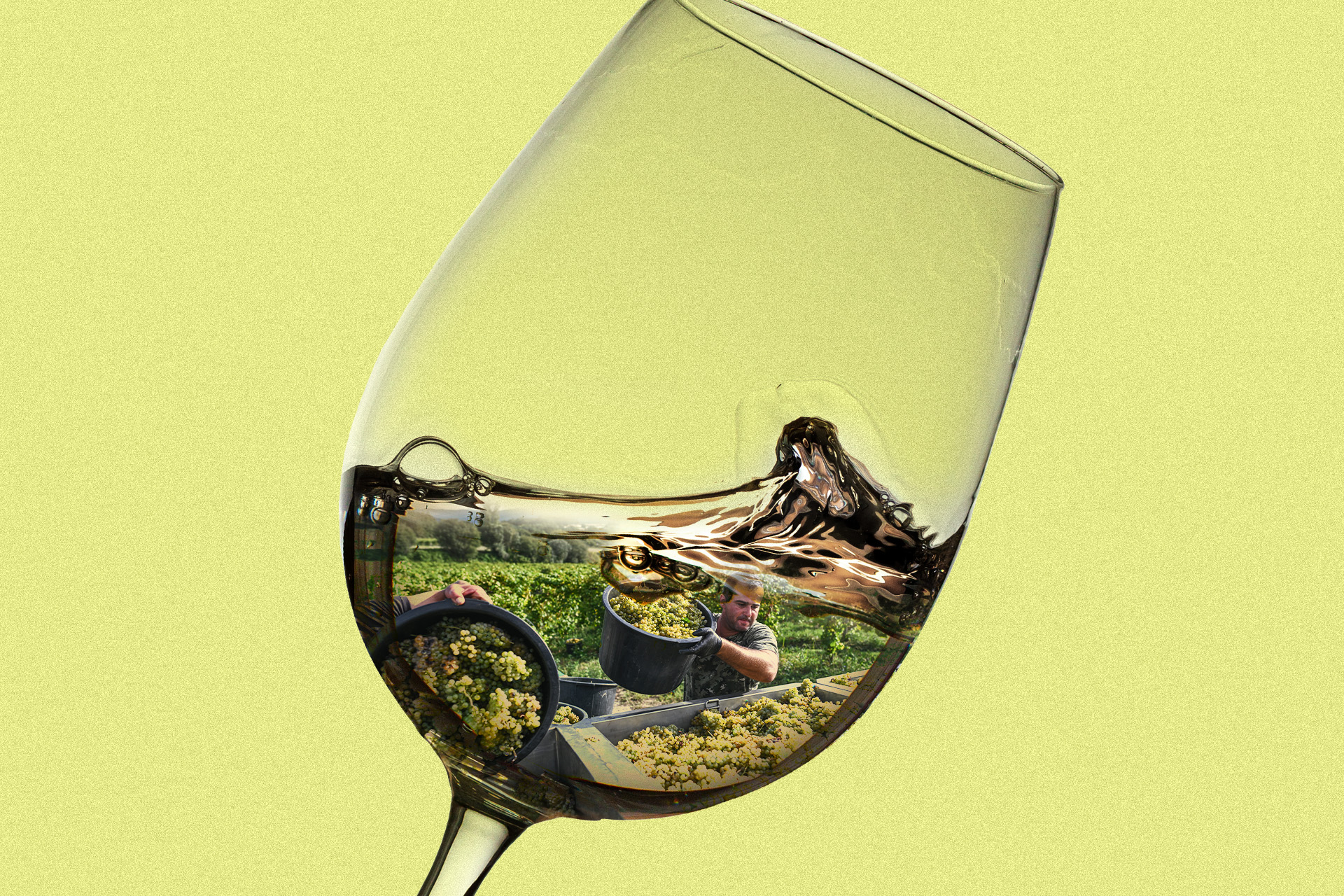 Vinho Verde Is the Crisp Summer Wine You’ve Been Looking For