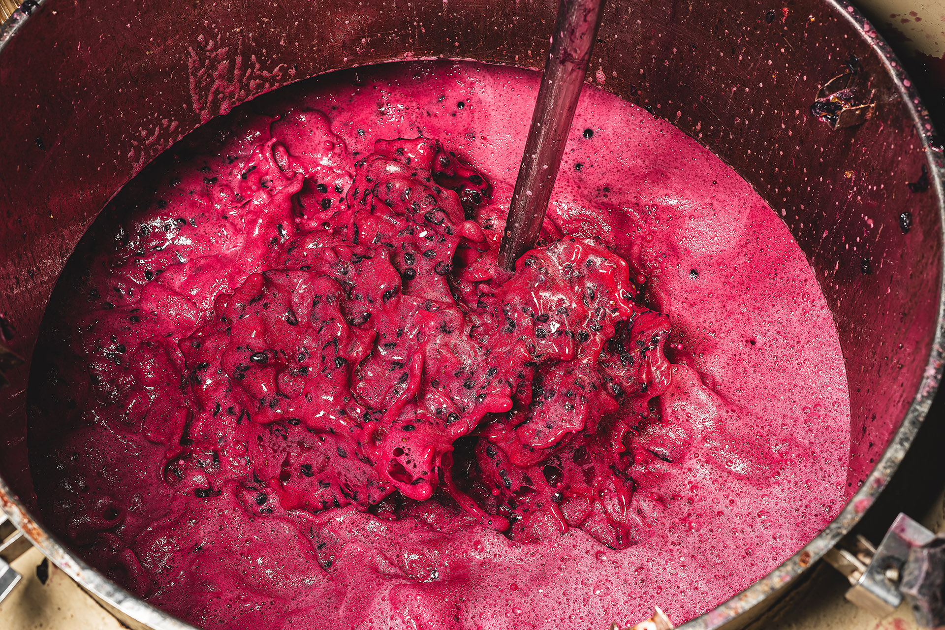 Maceration 101: What Every Wine Lover Should Know