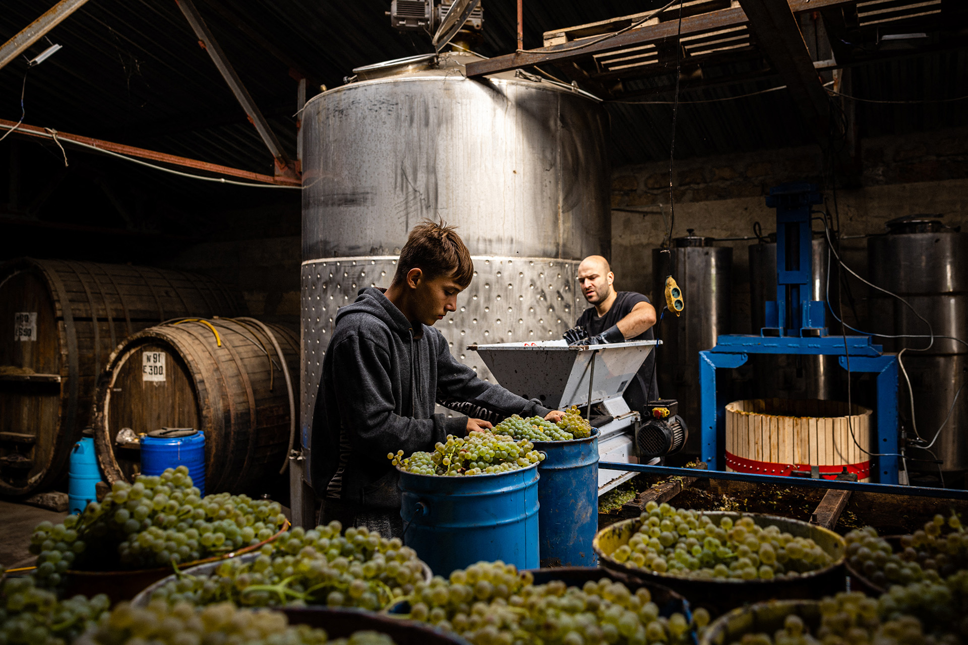 Moldovan Wine Is Taking on the World