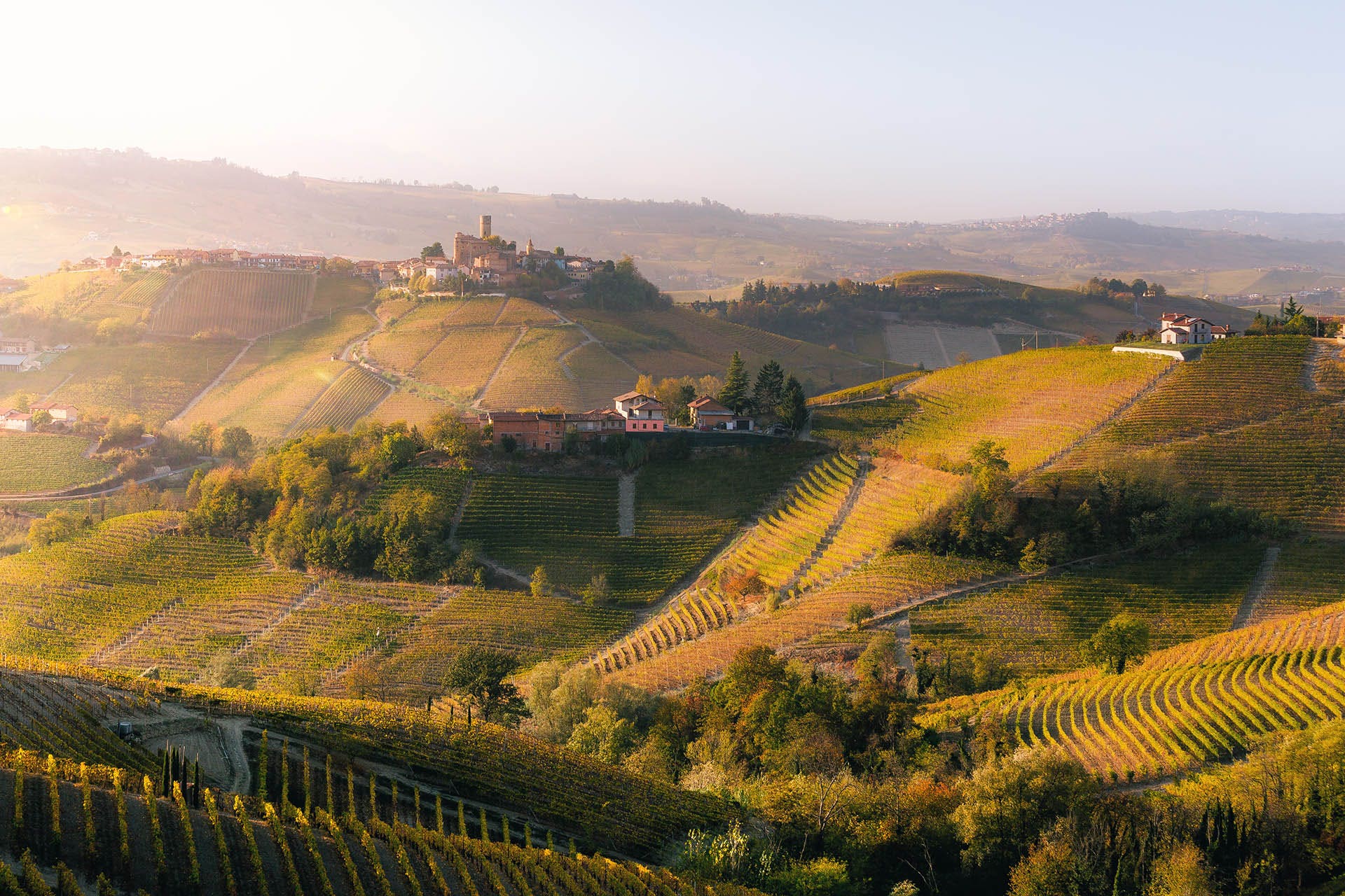 A Taste of Barolo's 2012 Vintage | Wine Enthusiast
