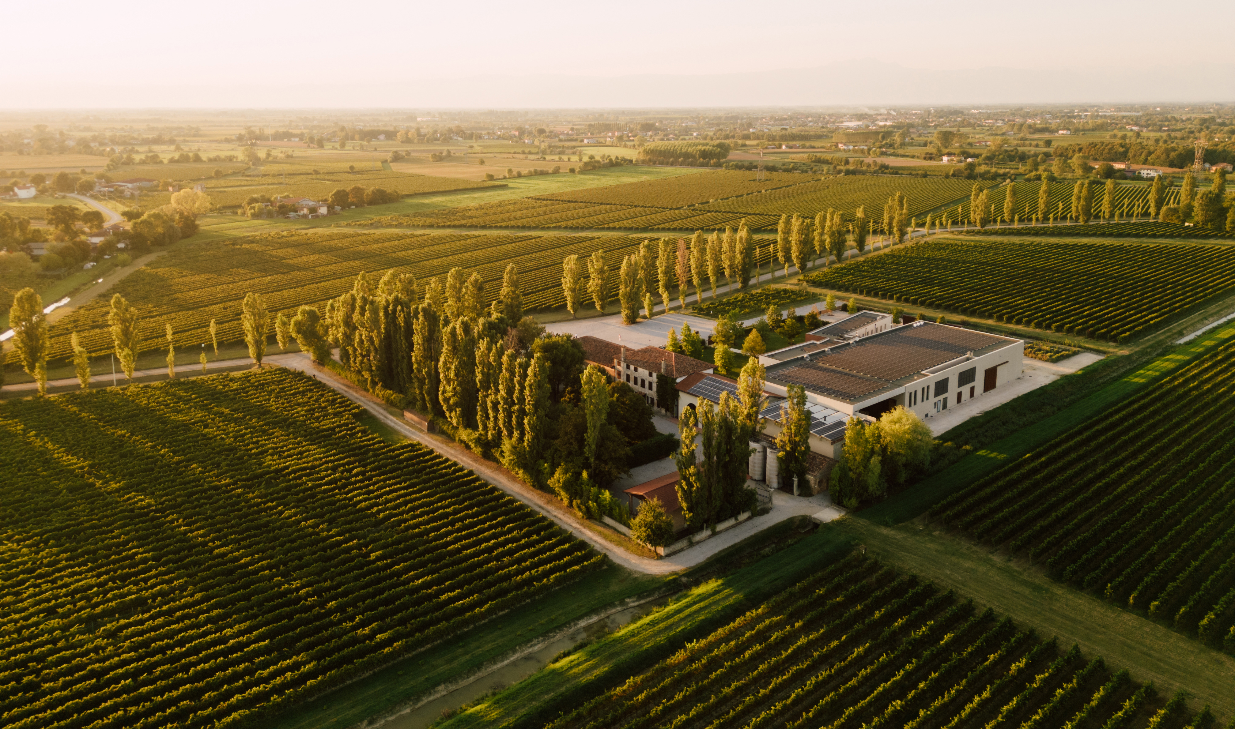 Polvaro Estate: Discover the Quiet Luxury of Lison Classico