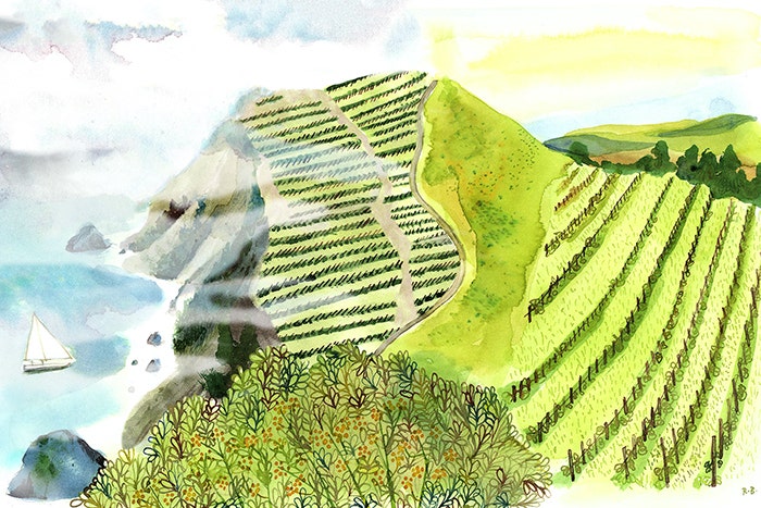 Why the Difference Between Inland and Coastal Wine Regions Matters