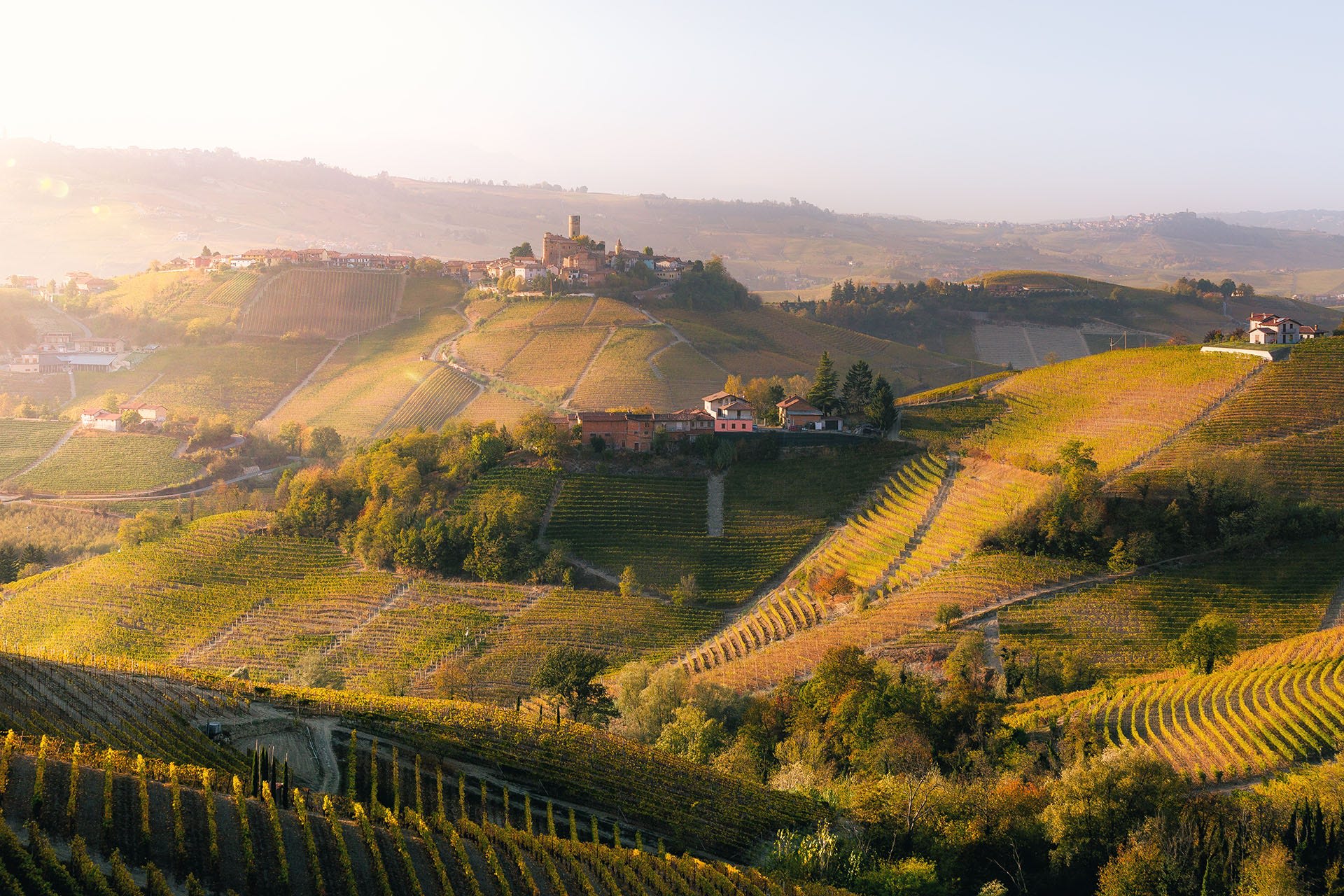 Barolo Wine Region | Wine Enthusiast