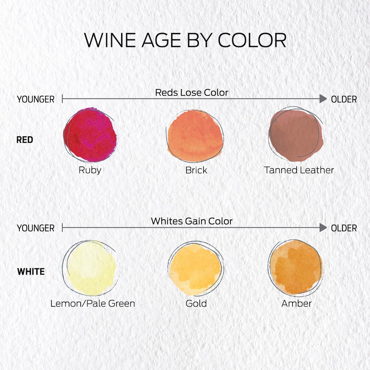 What Really Happens as Wine Ages? Wine Enthusiast
