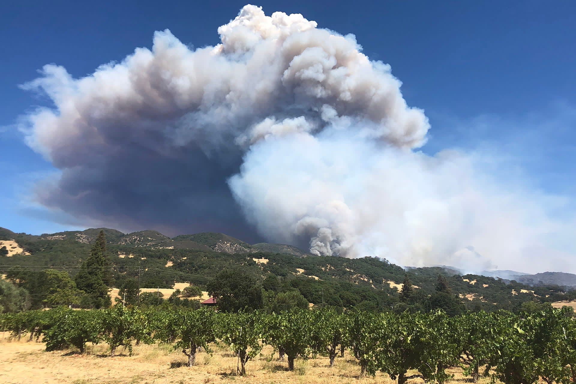Mendocino Complex Fires Threaten Winemakers | Wine Enthusiast