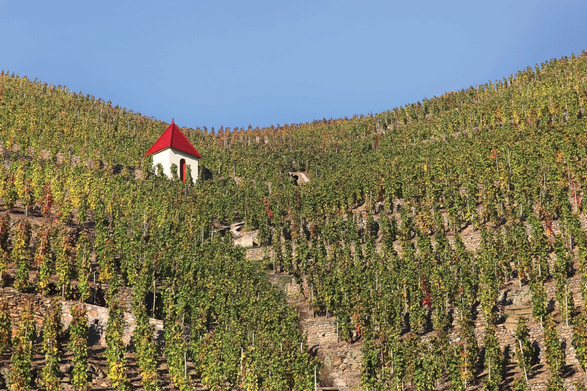What Do We Mean When We Say Rhône-style Wine? | Wine Enthusiast