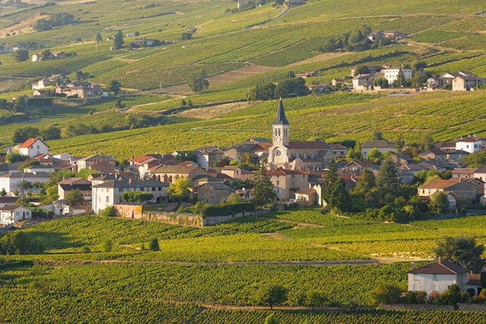 Cru Beaujolais Has a Rock-Solid Future | Wine Enthusiast