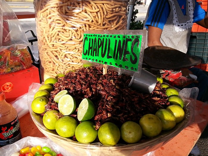 Insect-Infused Cocktails | Wine Enthusiast Magazine