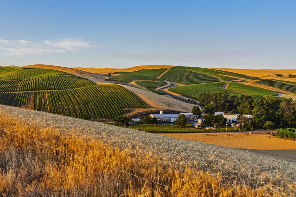 Spring Valley Vineyards